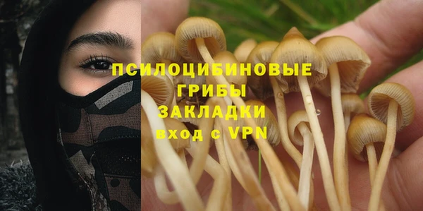 молекула духа Горно-Алтайск