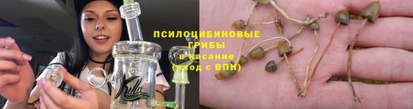 молекула духа Гусев