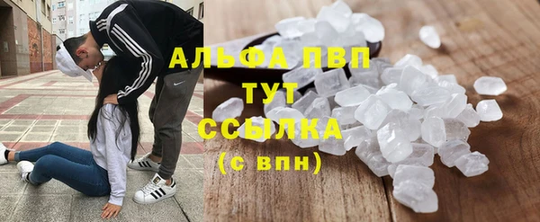 молекула духа Горно-Алтайск