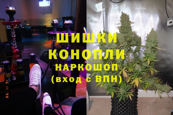 молекула духа Горно-Алтайск